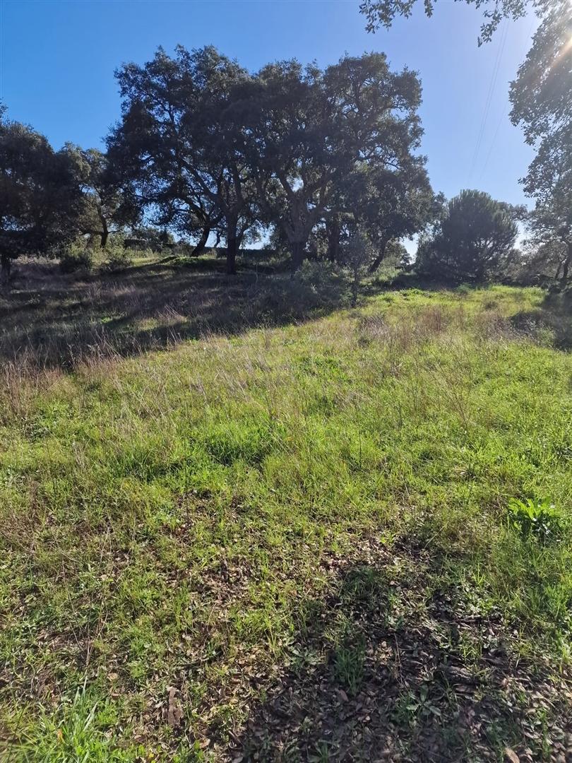 Terreno Rústico  Venda em Escalos de Cima e Lousa,Castelo Branco