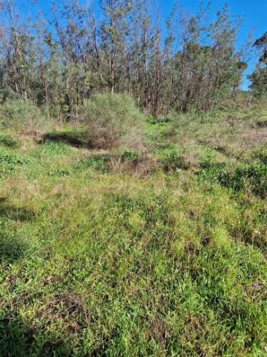 Terreno Rústico  Venda em Escalos de Cima e Lousa,Castelo Branco