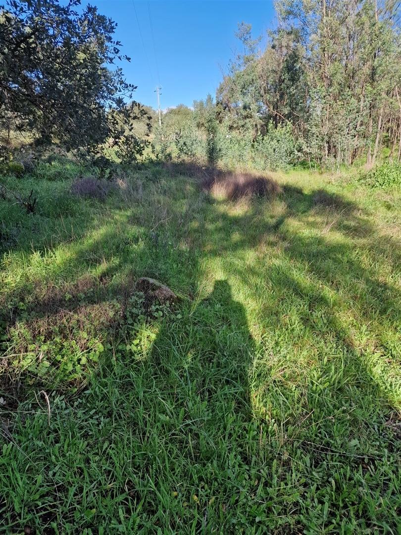 Terreno Rústico  Venda em Escalos de Cima e Lousa,Castelo Branco