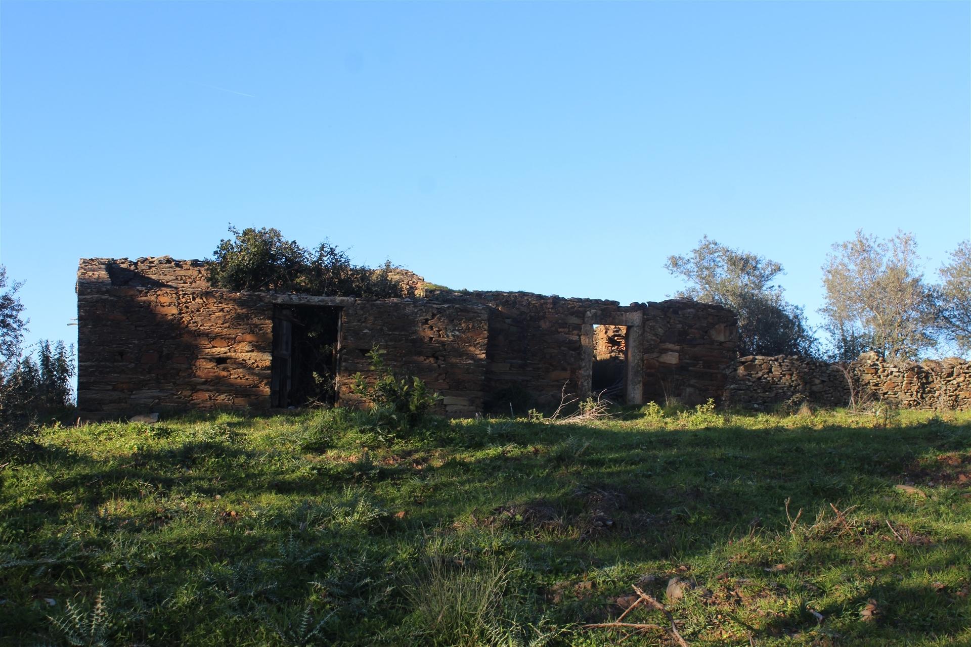 Terreno Rústico  Venda em Escalos de Baixo e Mata,Castelo Branco