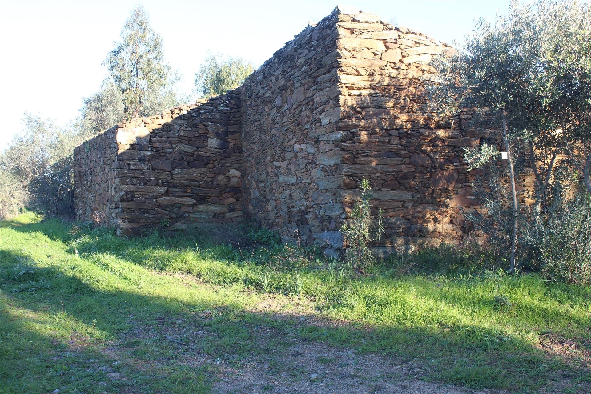 Terreno Rústico  Venda em Escalos de Baixo e Mata,Castelo Branco