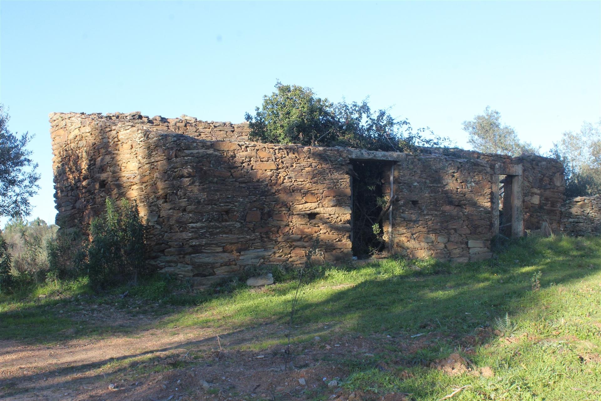 Terreno Rústico  Venda em Escalos de Baixo e Mata,Castelo Branco