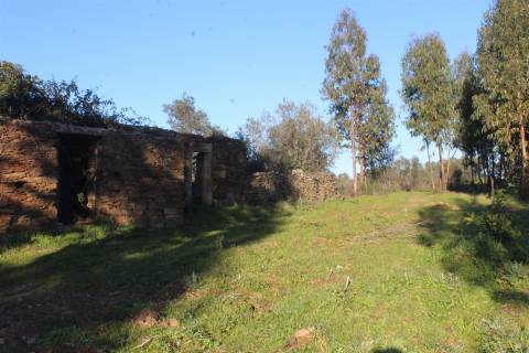 Terreno Rústico  Venda em Escalos de Baixo e Mata,Castelo Branco