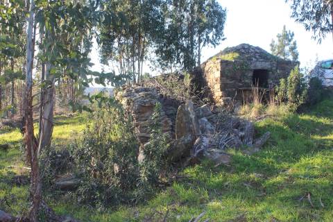 Terreno Rústico  Venda em Escalos de Baixo e Mata,Castelo Branco