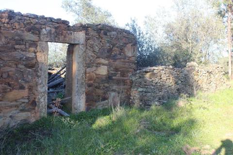 Terreno Rústico  Venda em Escalos de Baixo e Mata,Castelo Branco