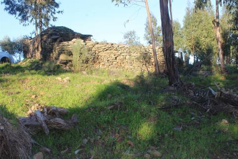 Terreno Rústico  Venda em Escalos de Baixo e Mata,Castelo Branco
