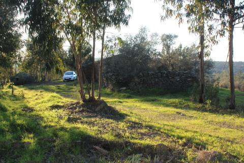 Terreno Rústico  Venda em Escalos de Baixo e Mata,Castelo Branco