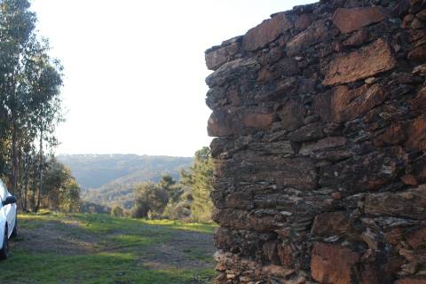 Terreno Rústico  Venda em Escalos de Baixo e Mata,Castelo Branco