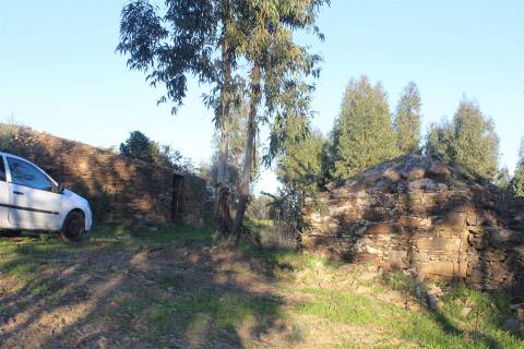 Terreno Rústico  Venda em Escalos de Baixo e Mata,Castelo Branco