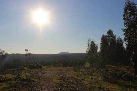 Terreno Rústico  Venda em Escalos de Baixo e Mata,Castelo Branco