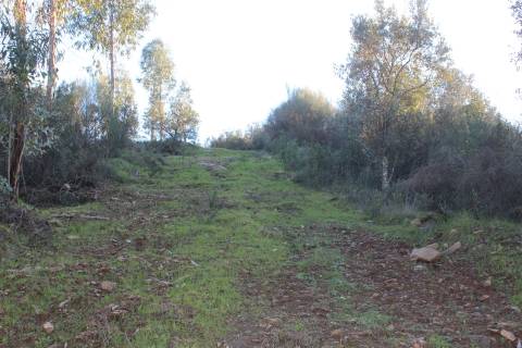 Terreno Rústico  Venda em Escalos de Baixo e Mata,Castelo Branco