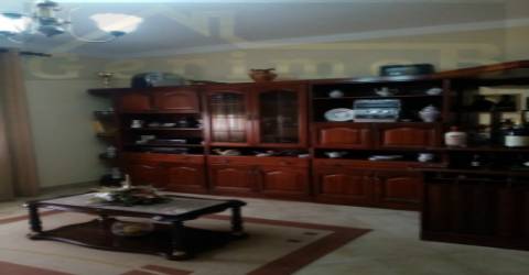 Terreno misto de 7.500 m2, com moradia terrea e apoio agrícola, no concelho de Palmela