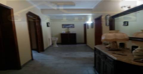 Terreno misto de 7.500 m2, com moradia terrea e apoio agrícola, no concelho de Palmela