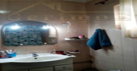 Terreno misto de 7.500 m2, com moradia terrea e apoio agrícola, no concelho de Palmela