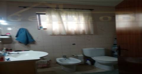 Terreno misto de 7.500 m2, com moradia terrea e apoio agrícola, no concelho de Palmela