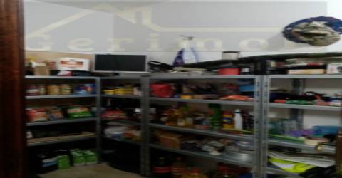 Terreno misto de 7.500 m2, com moradia terrea e apoio agrícola, no concelho de Palmela