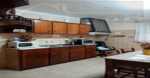 Terreno misto de 7.500 m2, com moradia terrea e apoio agrícola, no concelho de Palmela