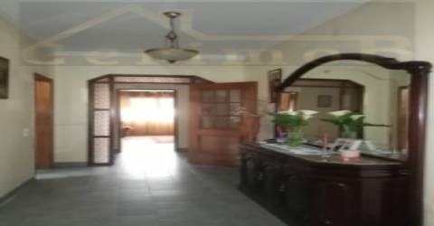 Terreno misto de 7.500 m2, com moradia terrea e apoio agrícola, no concelho de Palmela