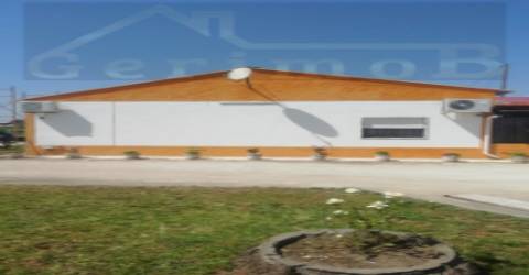 Terreno misto de 7.500 m2, com moradia terrea e apoio agrícola, no concelho de Palmela