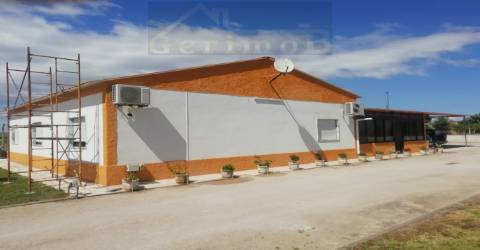 Terreno misto de 7.500 m2, com moradia terrea e apoio agrícola, no concelho de Palmela