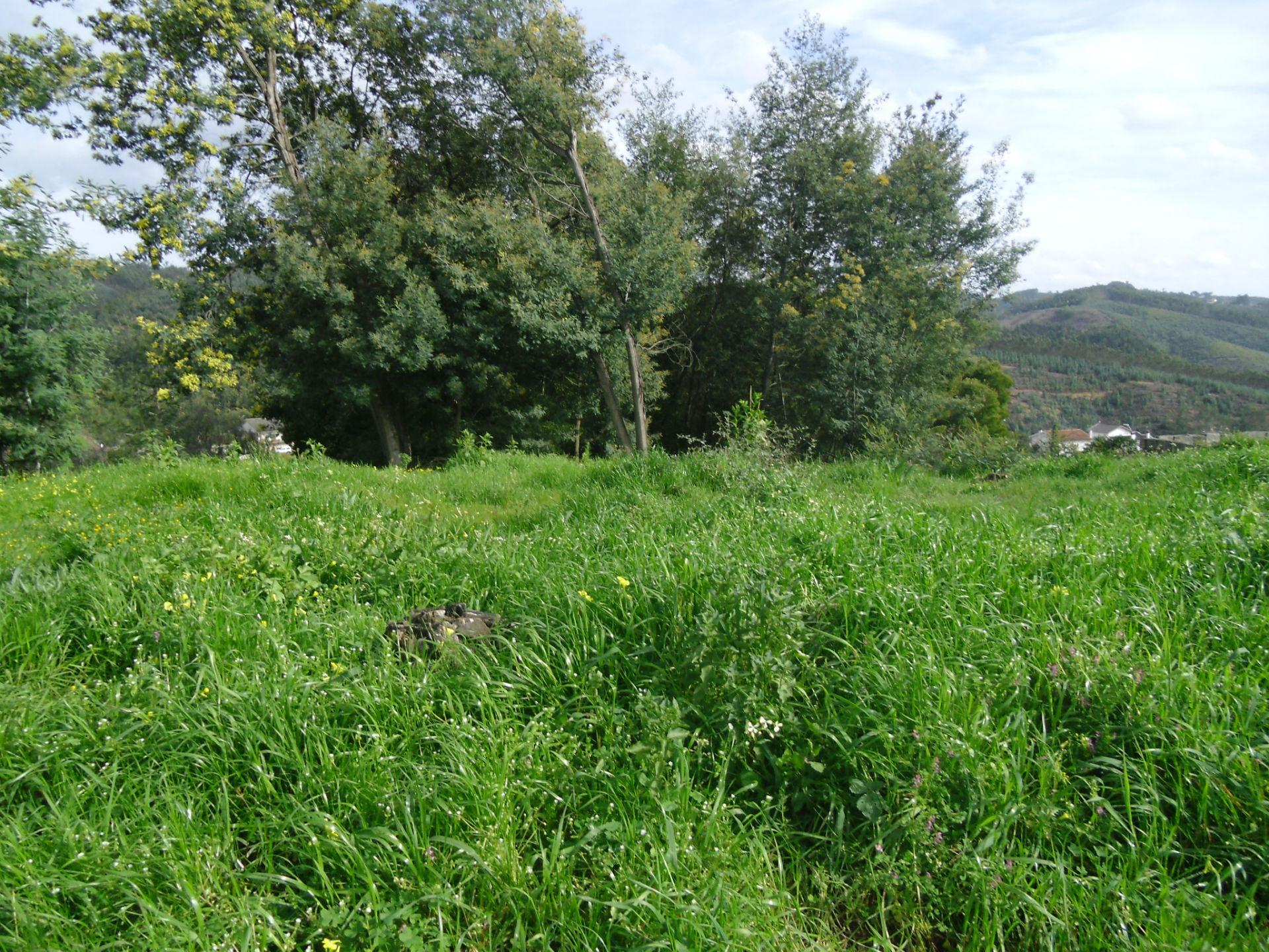 Terreno urbano com cerca de 4000m2, junto a Coimbra