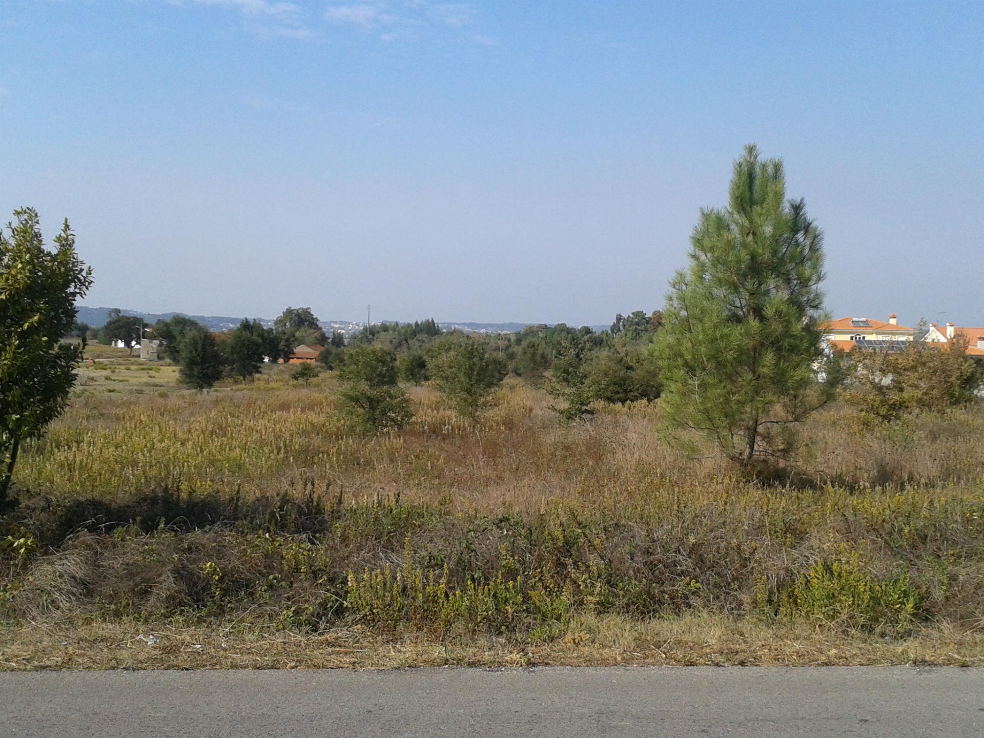 Terreno Para Construção  Venda em Granja do Ulmeiro,Soure