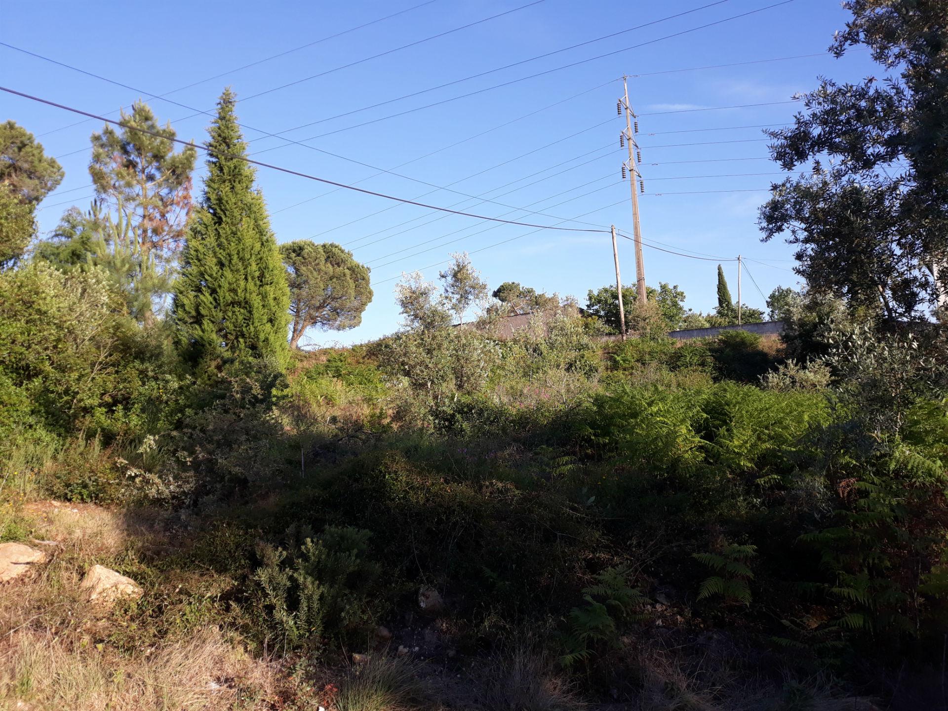 Loteamento  Venda em Assafarge e Antanhol,Coimbra