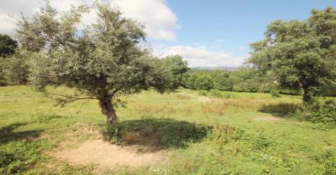 Quinta  Venda em Cabeceiras de Basto,Cabeceiras de Basto