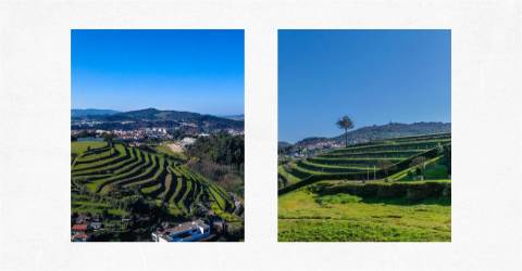 Moradia T3 no condomínio privado Casas de Vila Flor