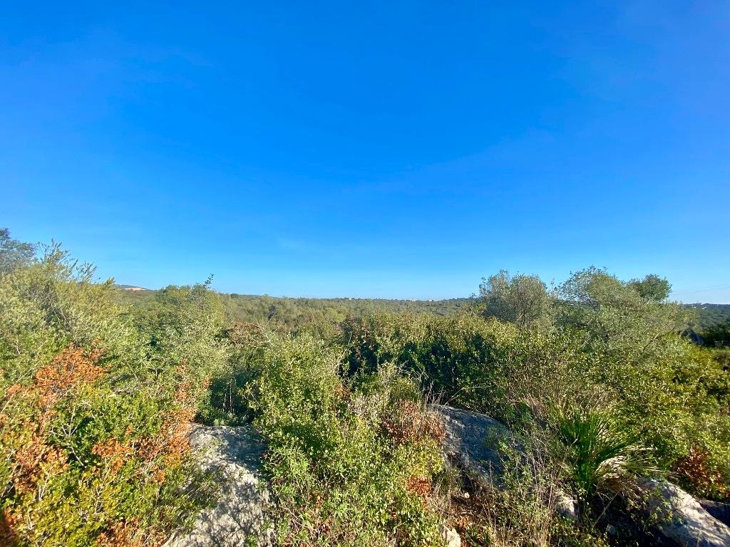 Lote de Terreno  Venda em Boliqueime,Loulé