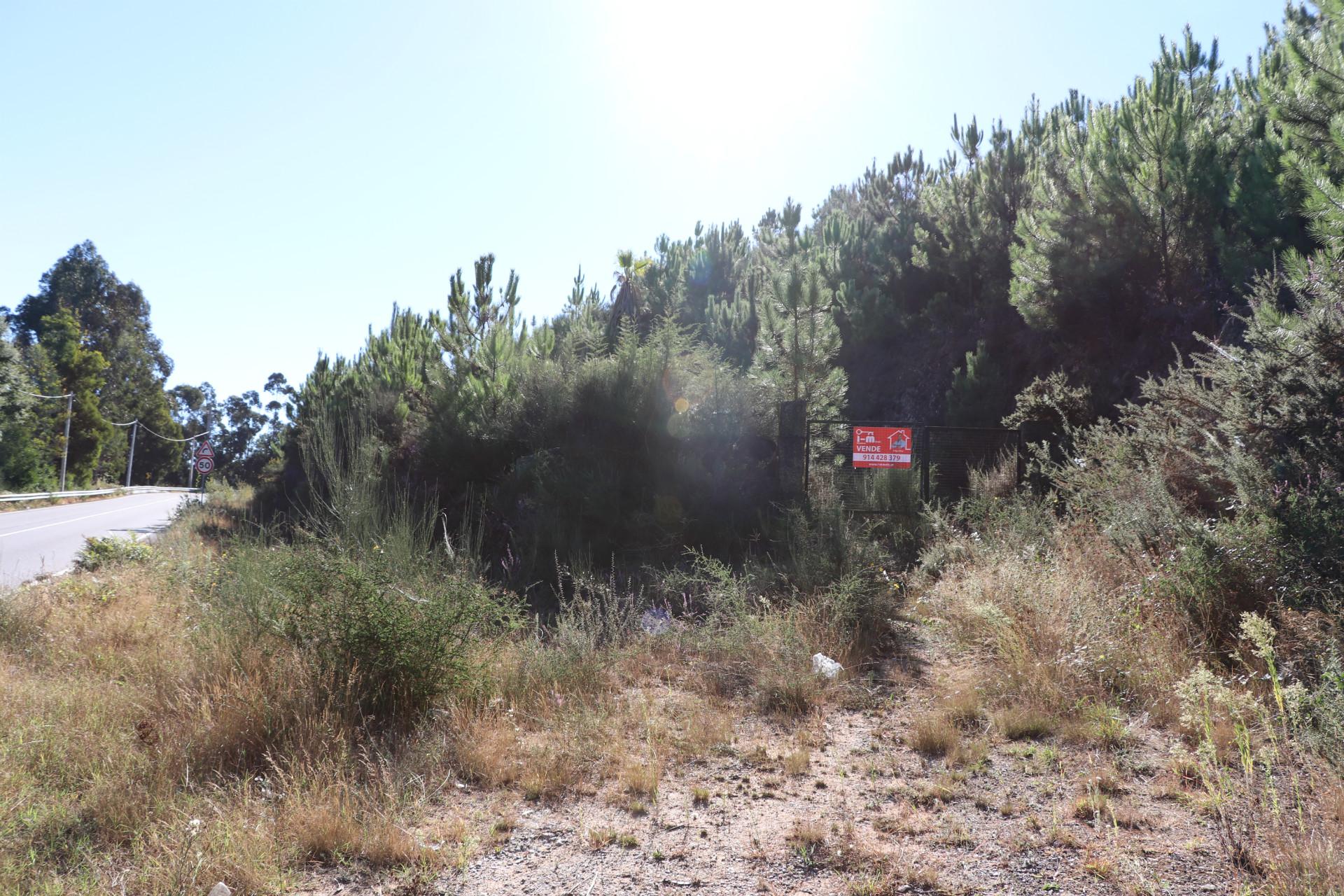 Terreno  Venda em Lustosa e Barrosas (Santo Estêvão),Lousada