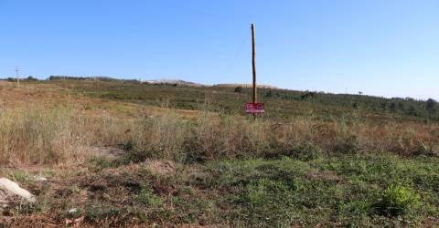 Lote Industrial  Venda em Lustosa e Barrosas (Santo Estêvão),Lousada