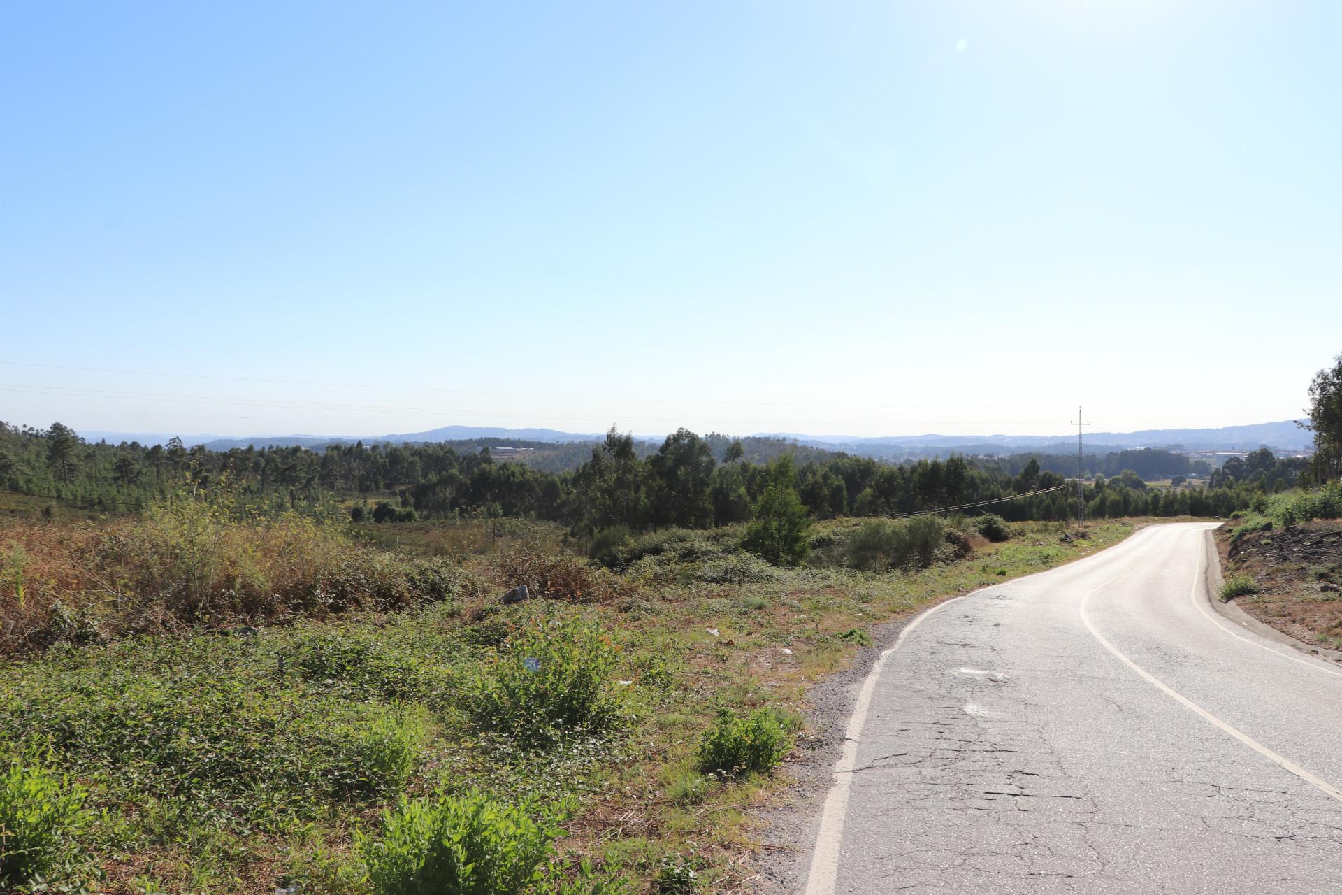 Lote Industrial  Venda em Lustosa e Barrosas (Santo Estêvão),Lousada