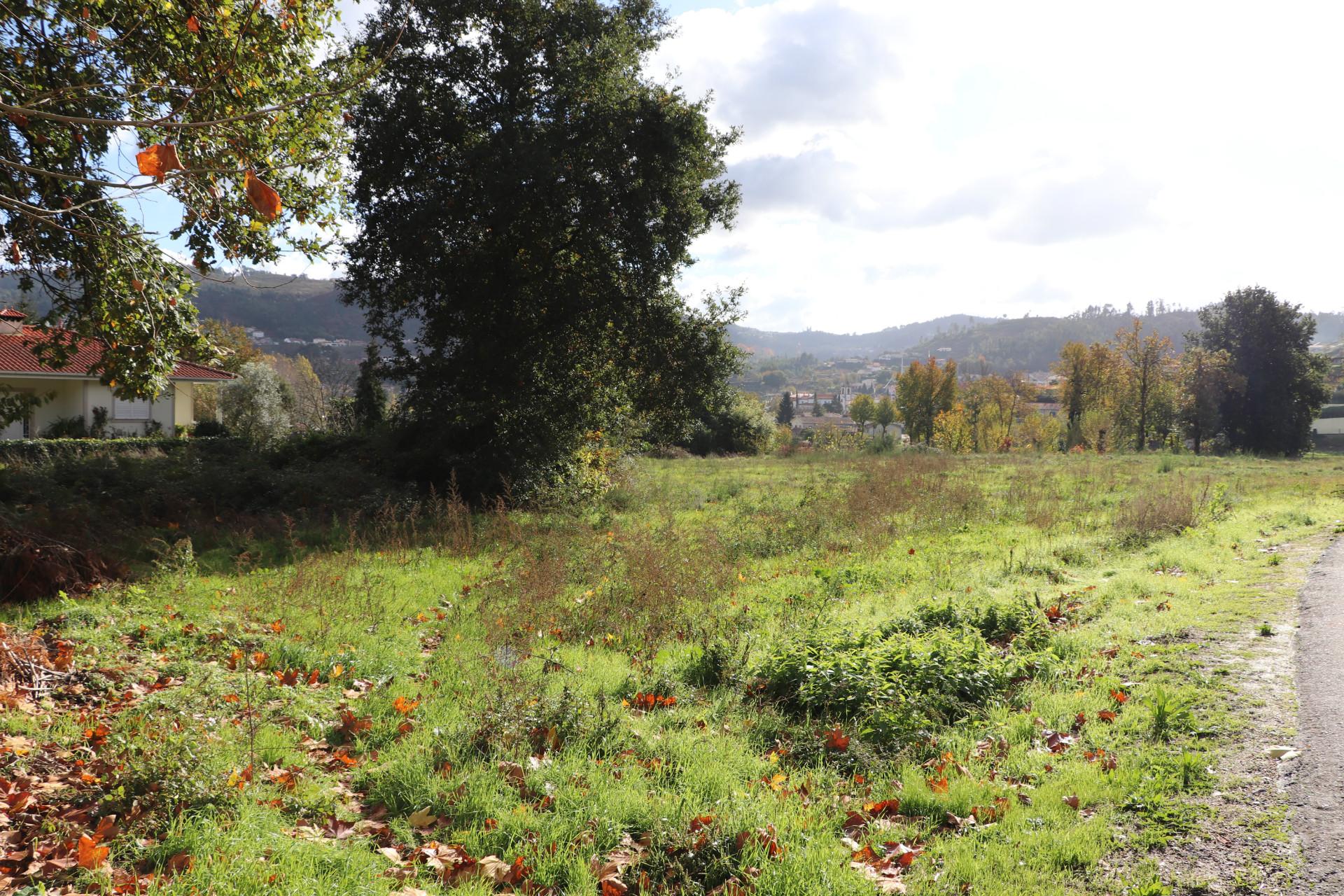 Terreno Para Construção  Venda em Santa Eulália,Vizela