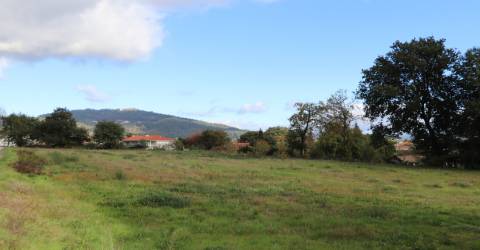 Terreno Para Construção  Venda em Santa Eulália,Vizela