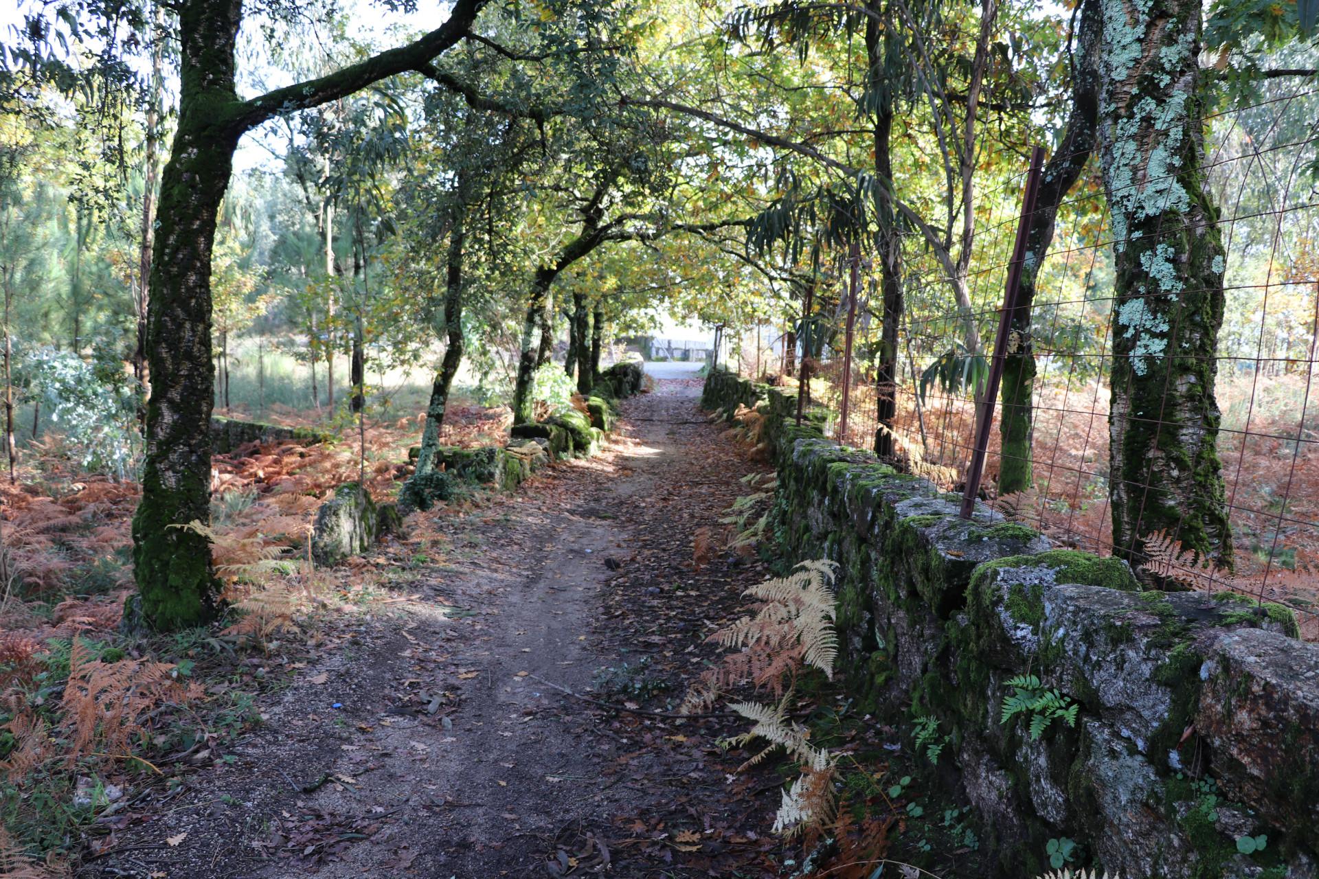 Terreno Para Construção  Venda em Lustosa e Barrosas (Santo Estêvão),Lousada