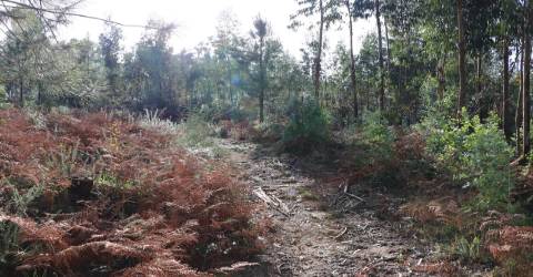Terreno Para Construção  Venda em Lustosa e Barrosas (Santo Estêvão),Lousada