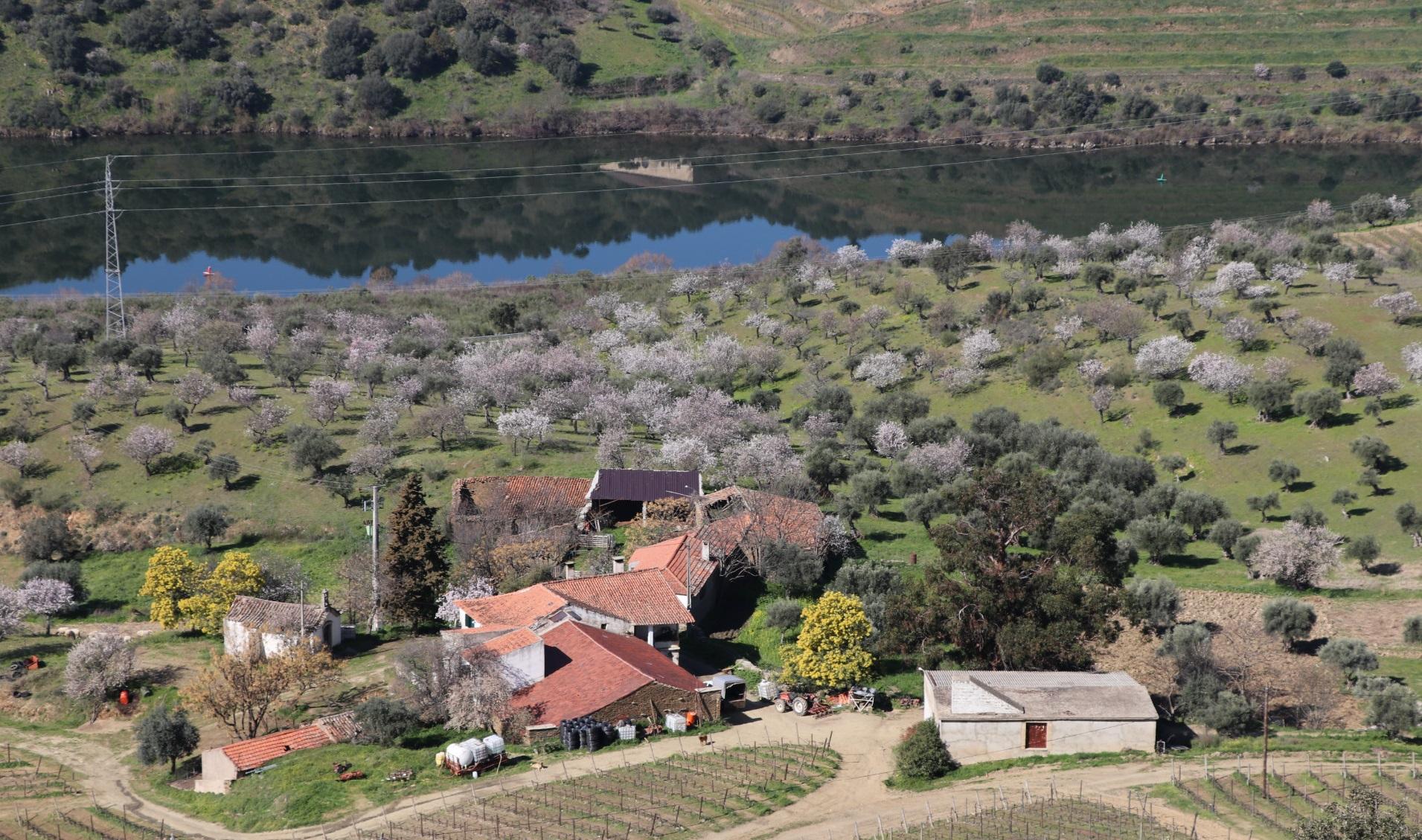 Quinta  Venda em Torre de Moncorvo,Torre de Moncorvo