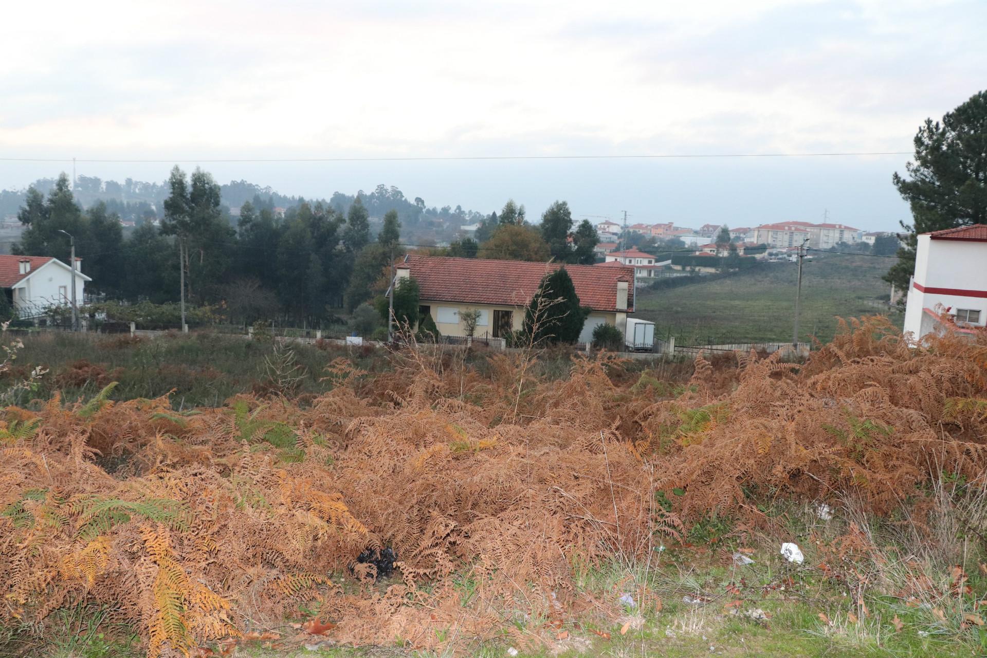 Terreno Para Construção  Venda em Lustosa e Barrosas (Santo Estêvão),Lousada