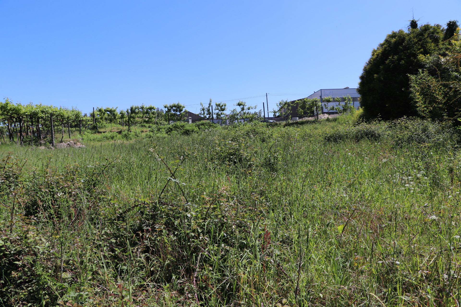 Lote de Terreno  Venda em Lustosa e Barrosas (Santo Estêvão),Lousada