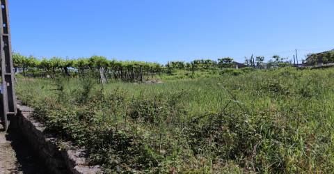 Lote de Terreno  Venda em Lustosa e Barrosas (Santo Estêvão),Lousada