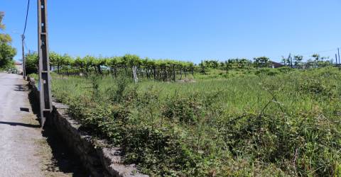 Lote de Terreno  Venda em Lustosa e Barrosas (Santo Estêvão),Lousada