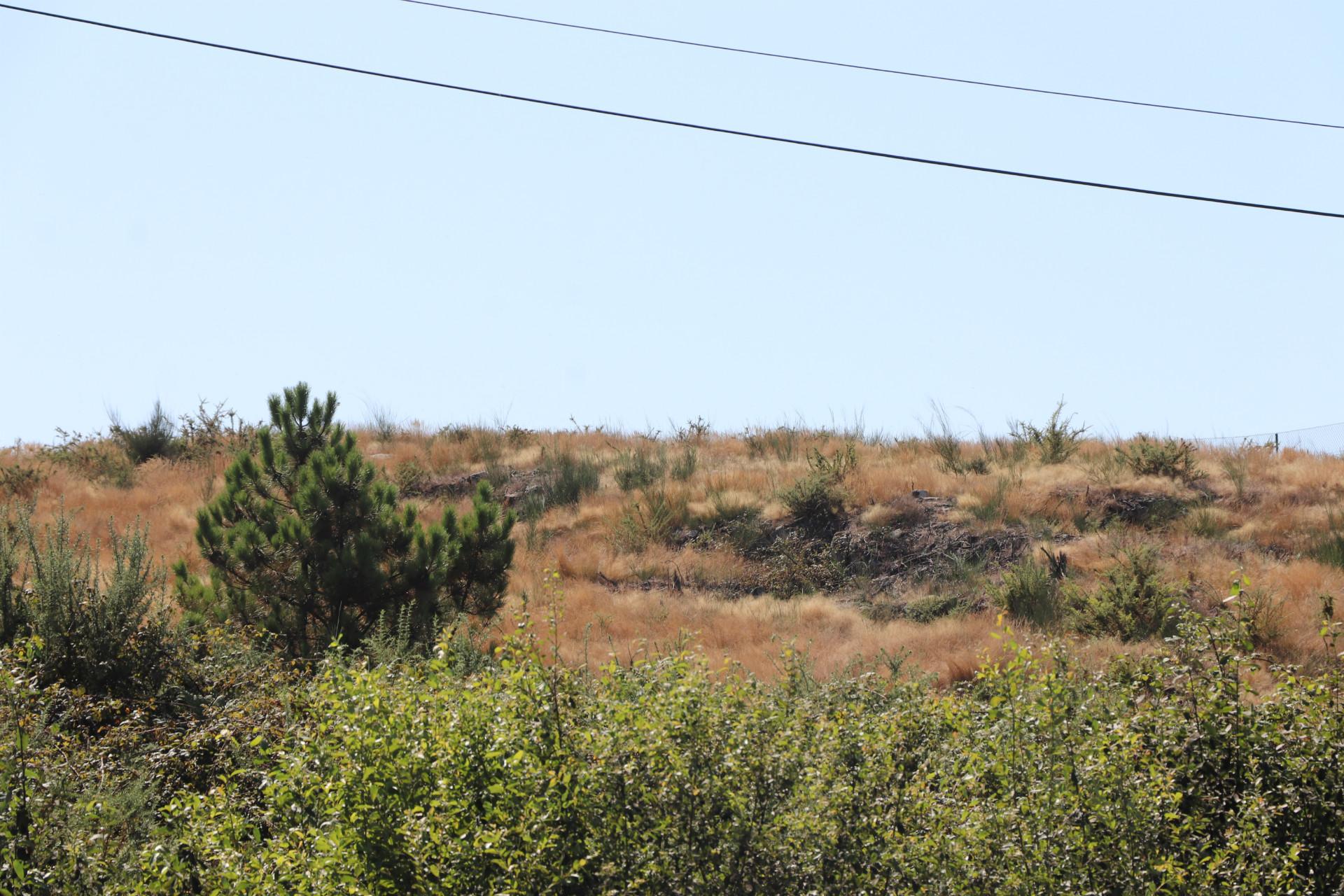 Lote de Terreno  Venda em Lustosa e Barrosas (Santo Estêvão),Lousada