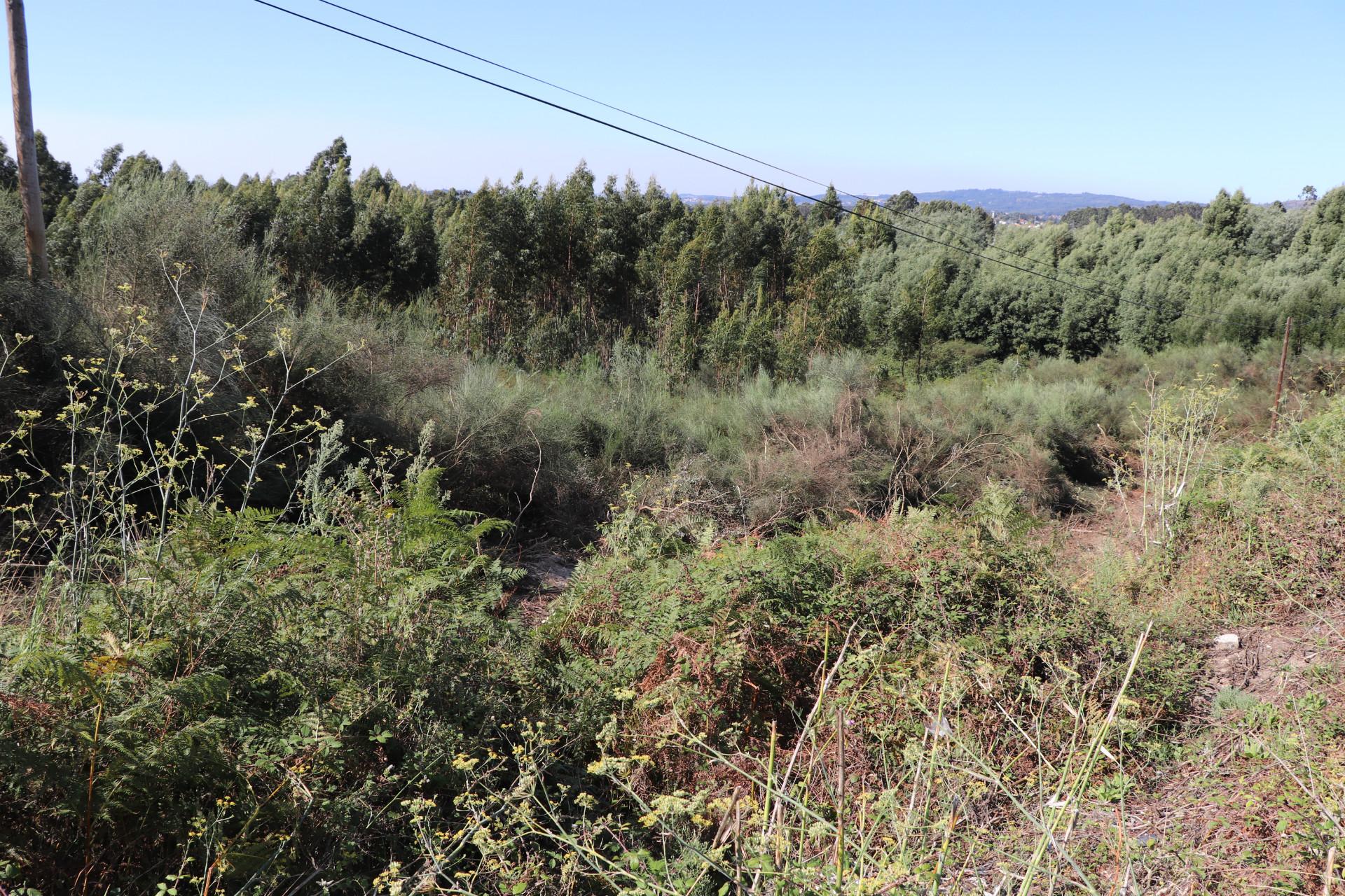 Lote de Terreno  Venda em Lustosa e Barrosas (Santo Estêvão),Lousada