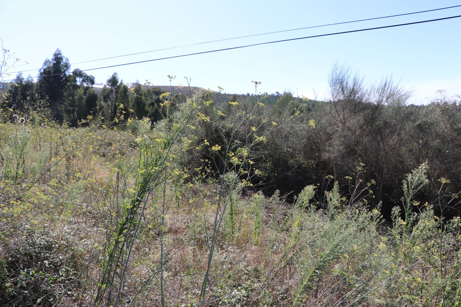 Lote de Terreno  Venda em Lustosa e Barrosas (Santo Estêvão),Lousada