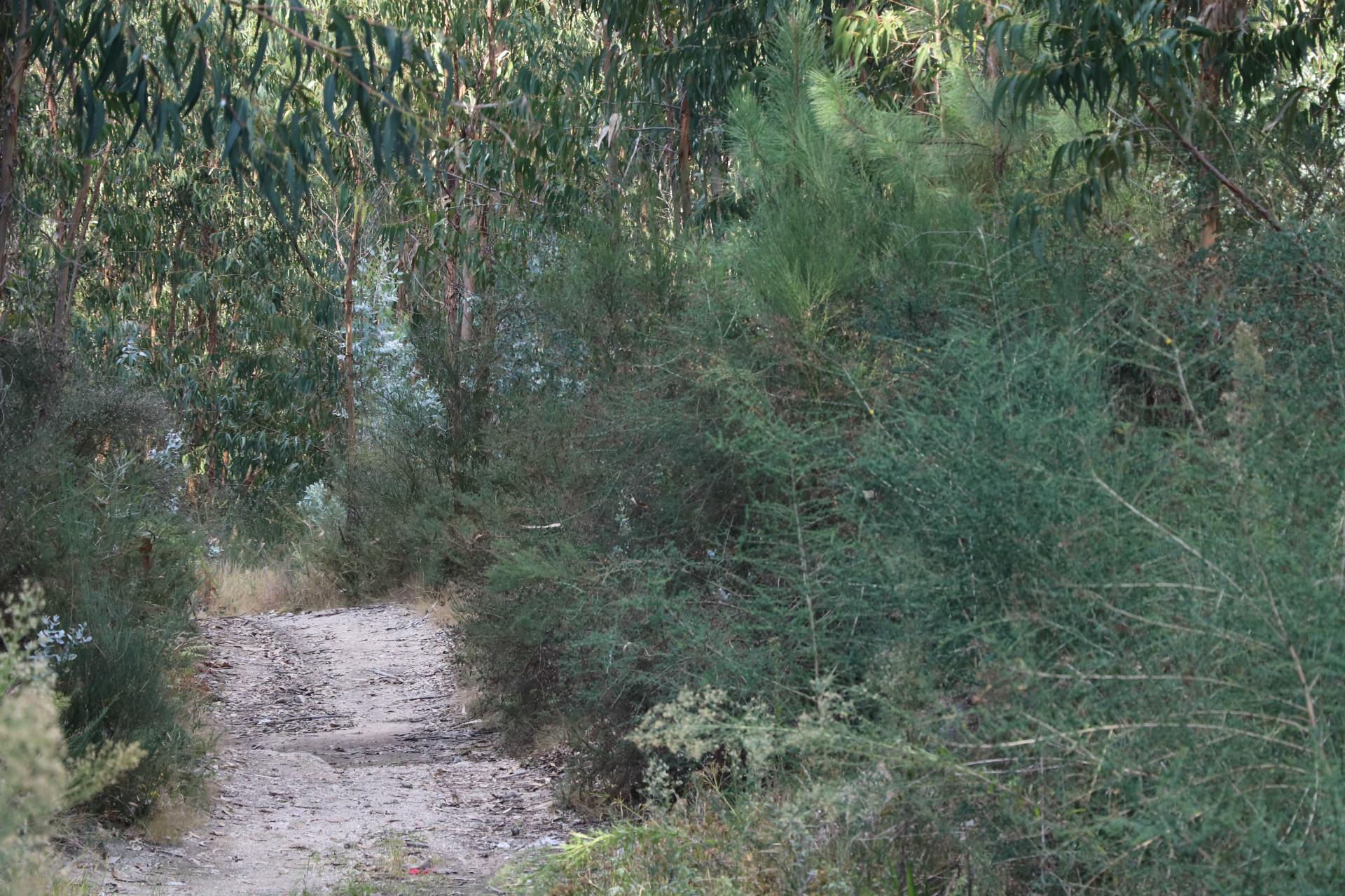 Lote de Terreno  Venda em Lustosa e Barrosas (Santo Estêvão),Lousada