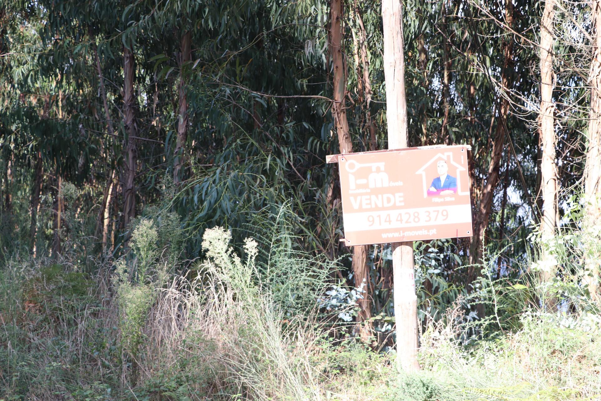 Lote de Terreno  Venda em Lustosa e Barrosas (Santo Estêvão),Lousada