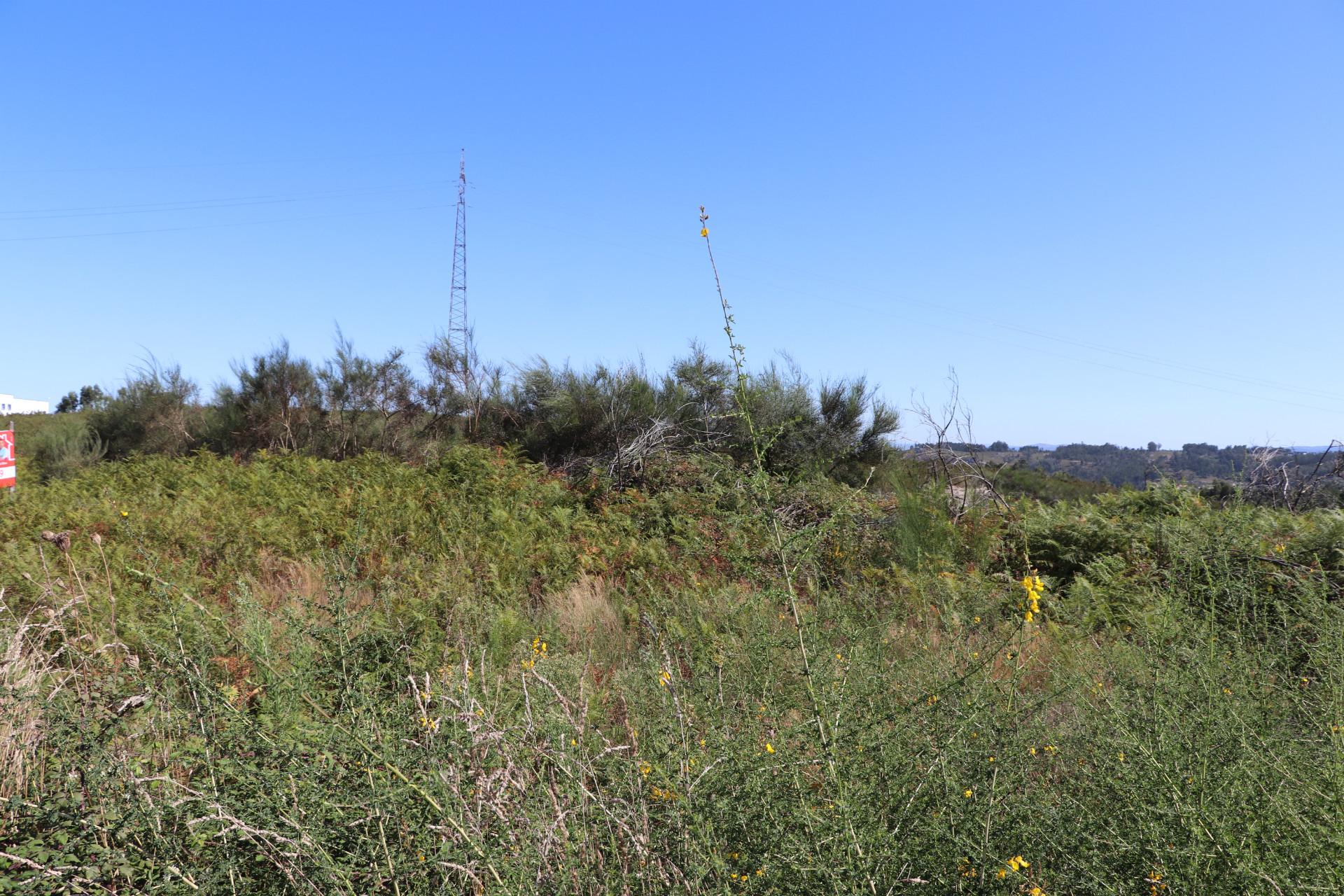 Lote Industrial  Venda em Lustosa e Barrosas (Santo Estêvão),Lousada