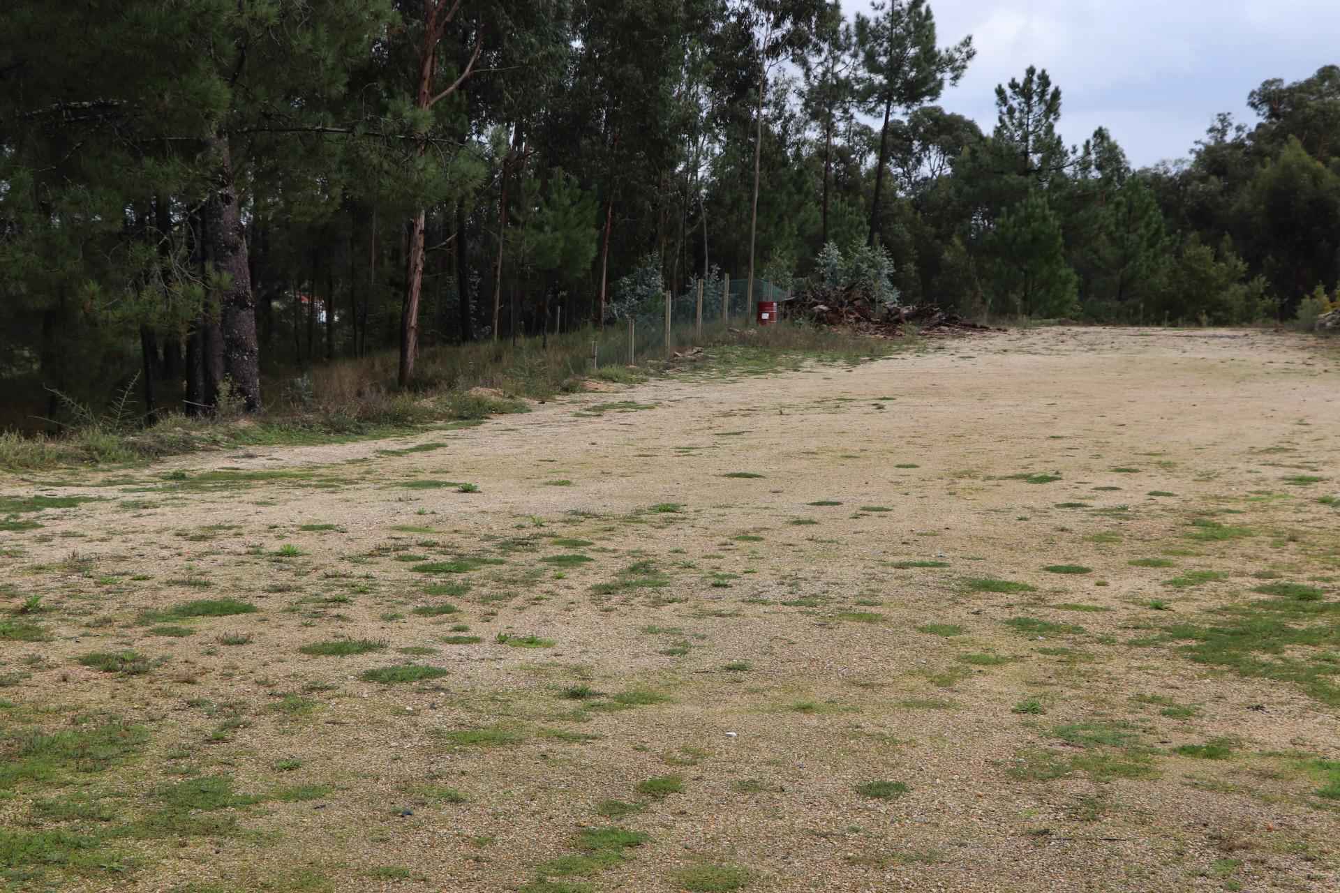 Lote de Terreno  Venda em Meinedo,Lousada