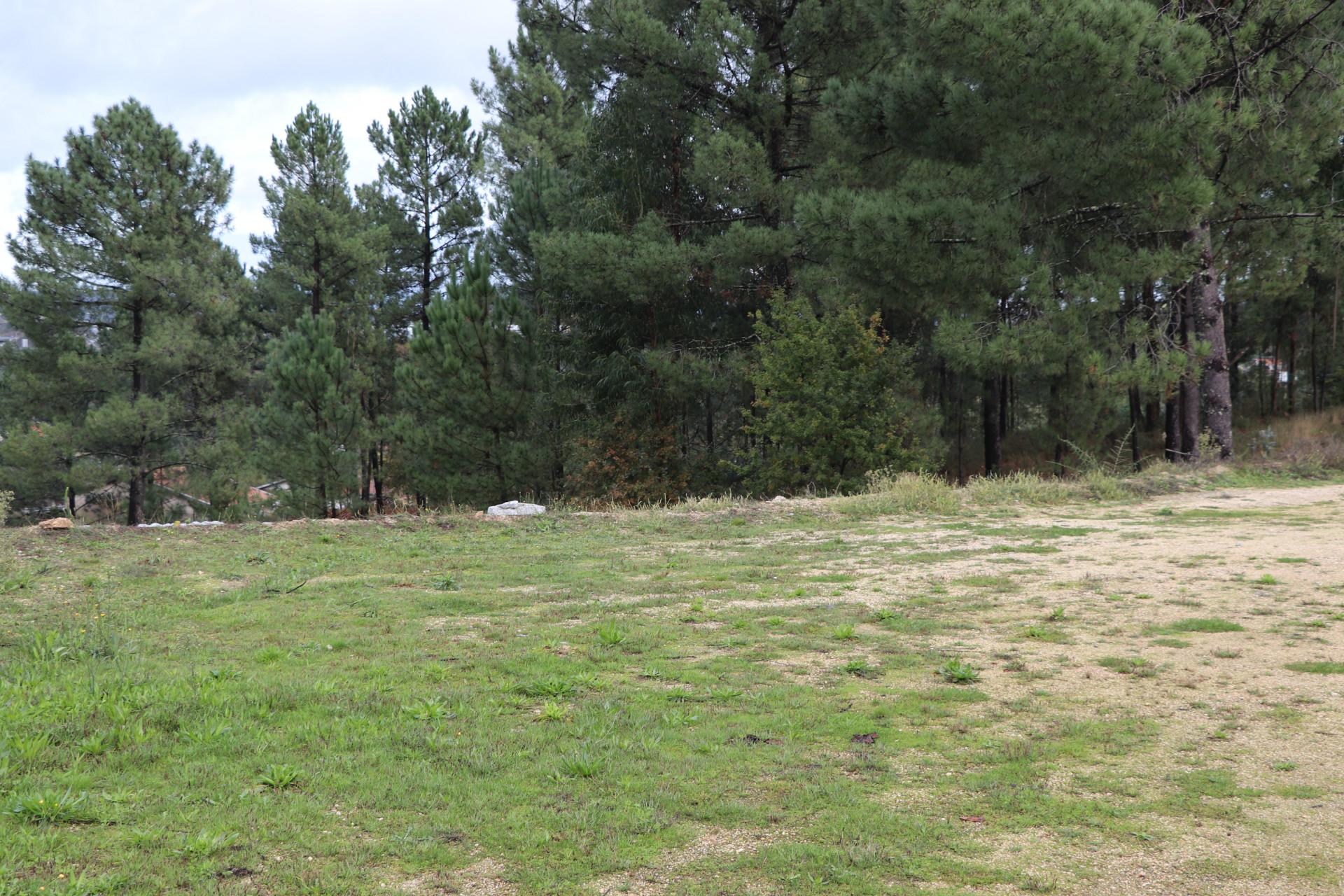 Lote de Terreno  Venda em Meinedo,Lousada